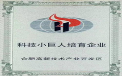 喜讯 华体会入选合肥高新区“科技小巨人”培育企业